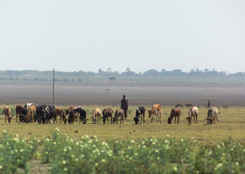 Climate Finance