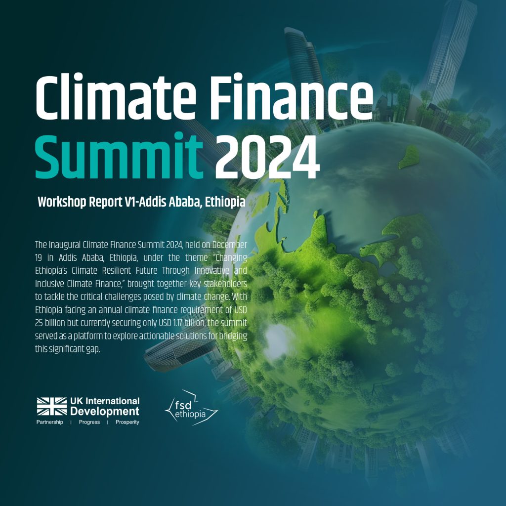 Climate Finance Summit – Workshop Report