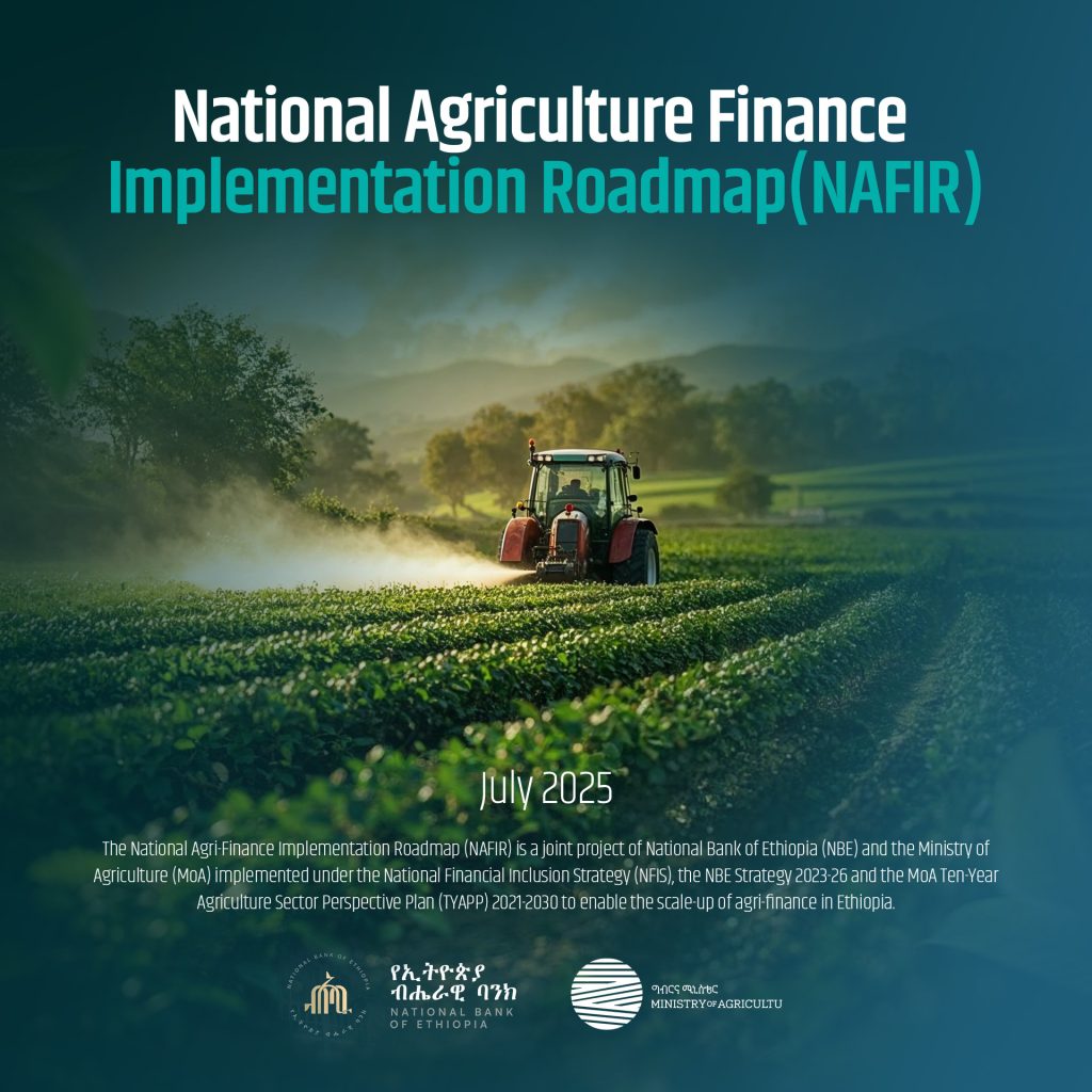 National Agricultural Finance Implementation Roadmap (2025–2030)